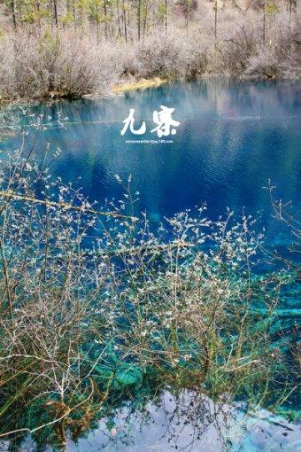 该不该和男友坦白怀了前任的孩子?-解答你疑问的最佳选择